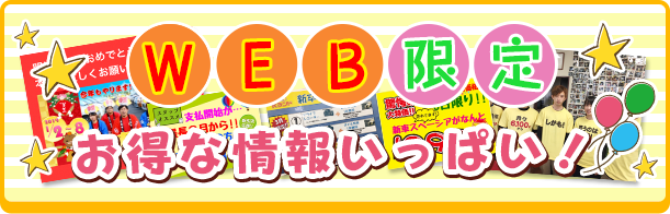 WEB限定チラシ